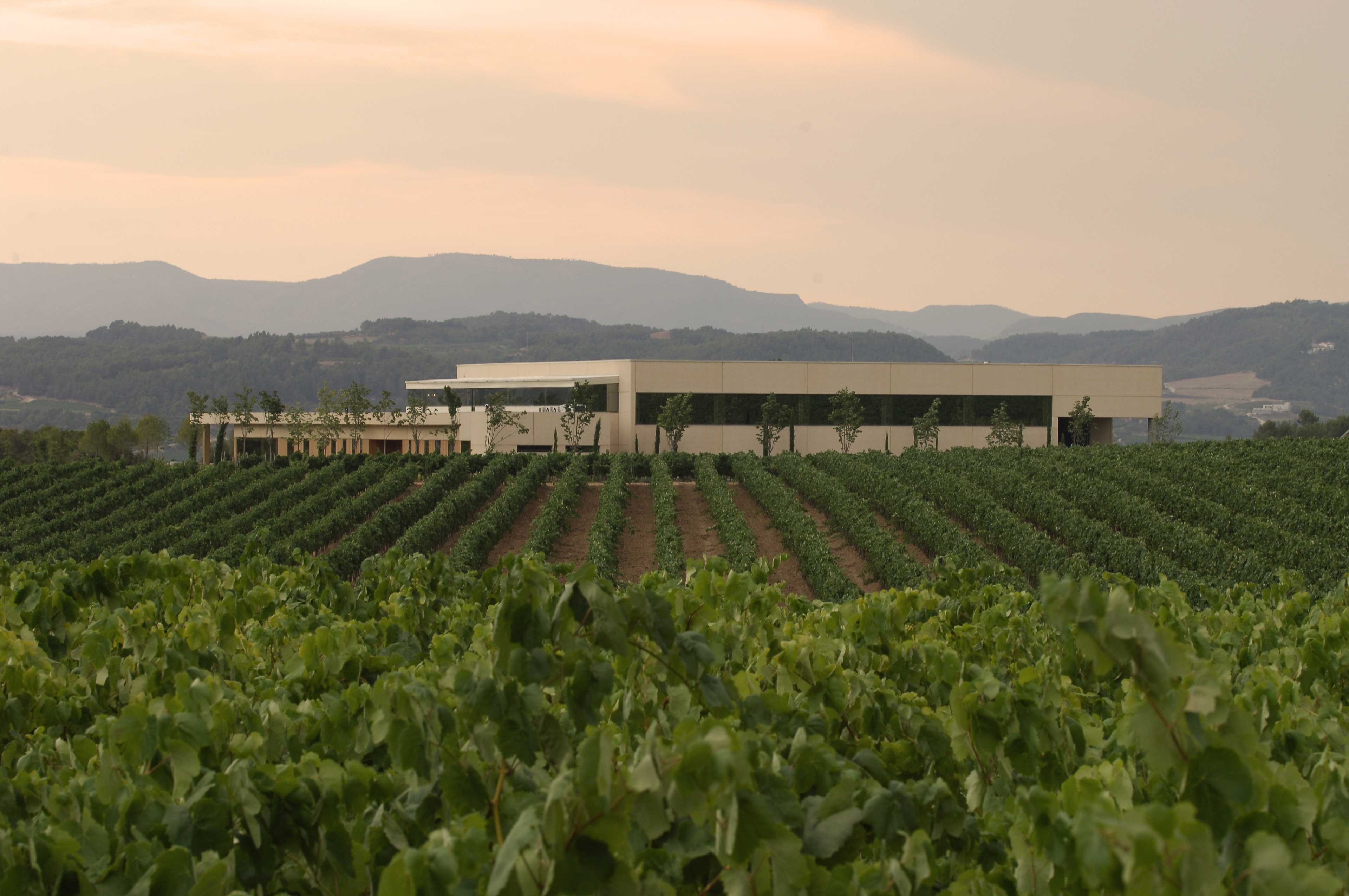 Bodega Vilarnau
