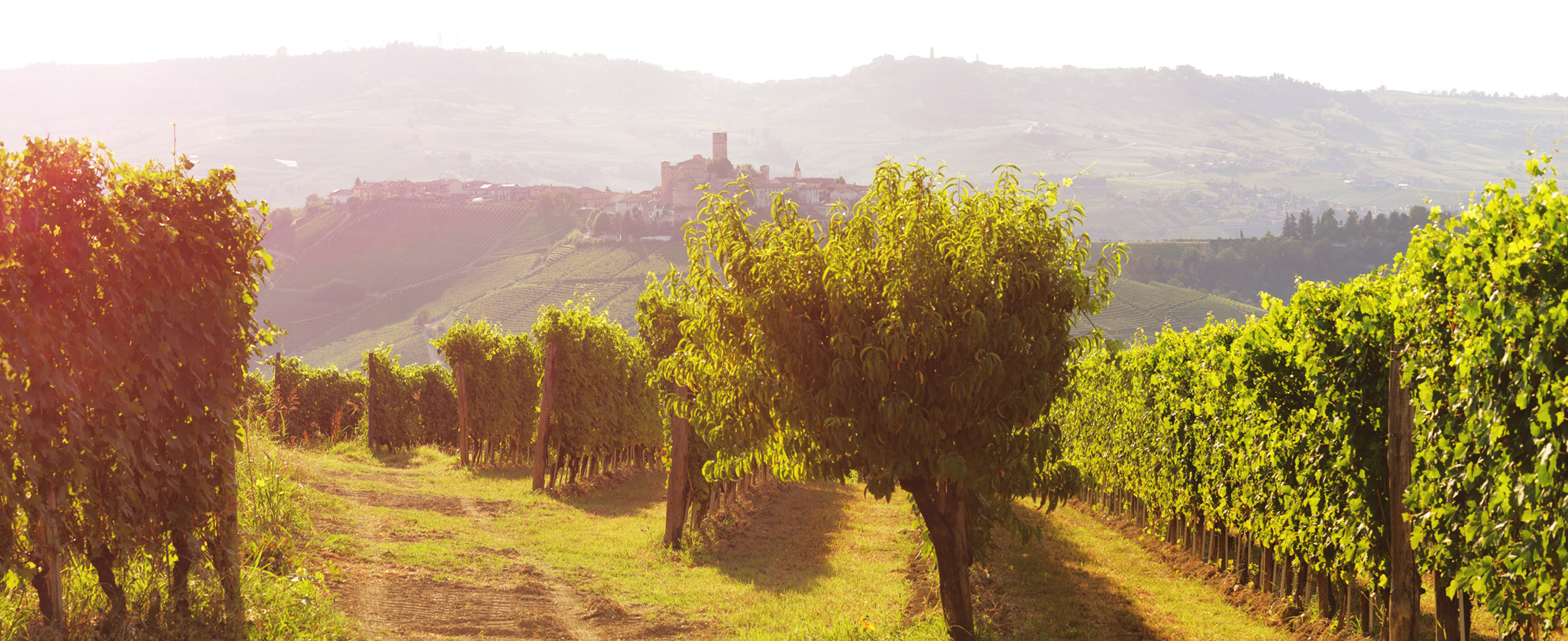 Bodega Poderi Gianni 