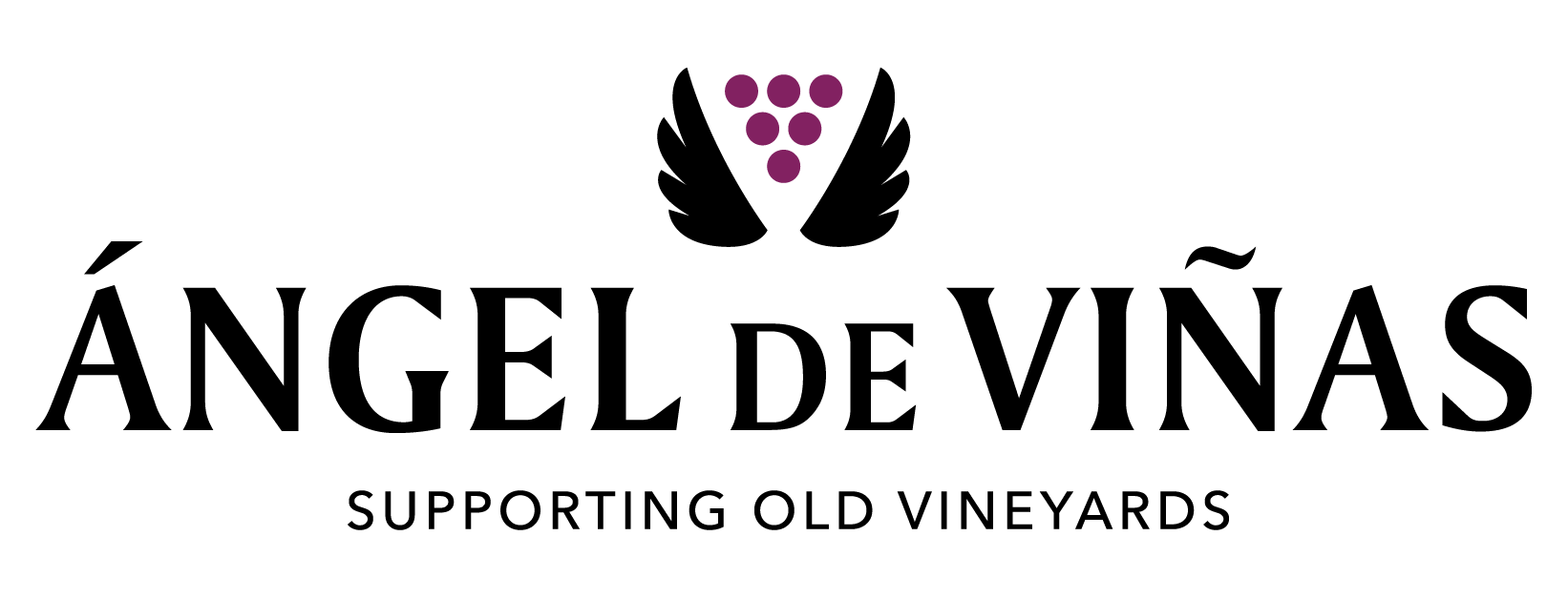 gonzalez-byass-logotipo-angel-de-viñas-eng