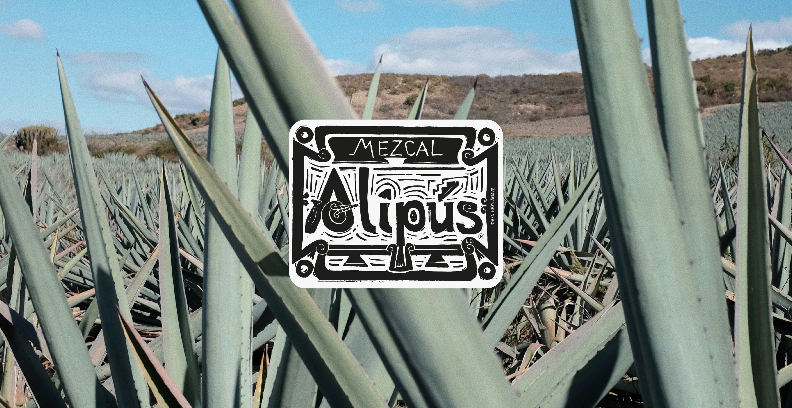 González Byass Alipus Mezcal