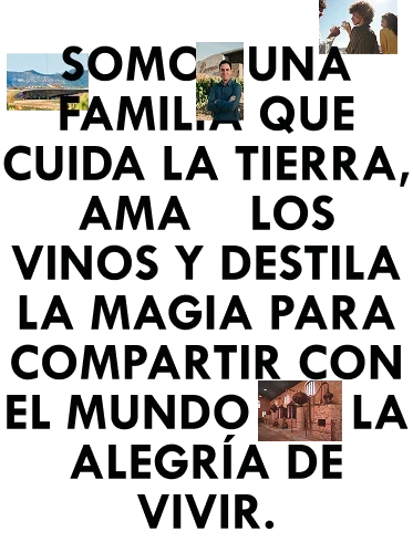 Somos una familia que cuida la tierra, ama los vinos y destila la magia para compartir con el mundo la alegría de vivir.