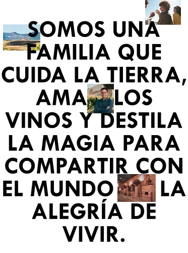 imagen brand idea gonzález byass