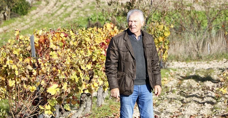 BODEGA OIMBRA ANGEL DE VIÑAS