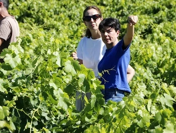 proyecto ángel de viñas