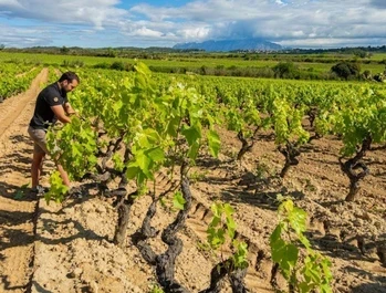 proyecto ángel de viñas