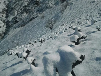 Proyecto Ángel de Viñas