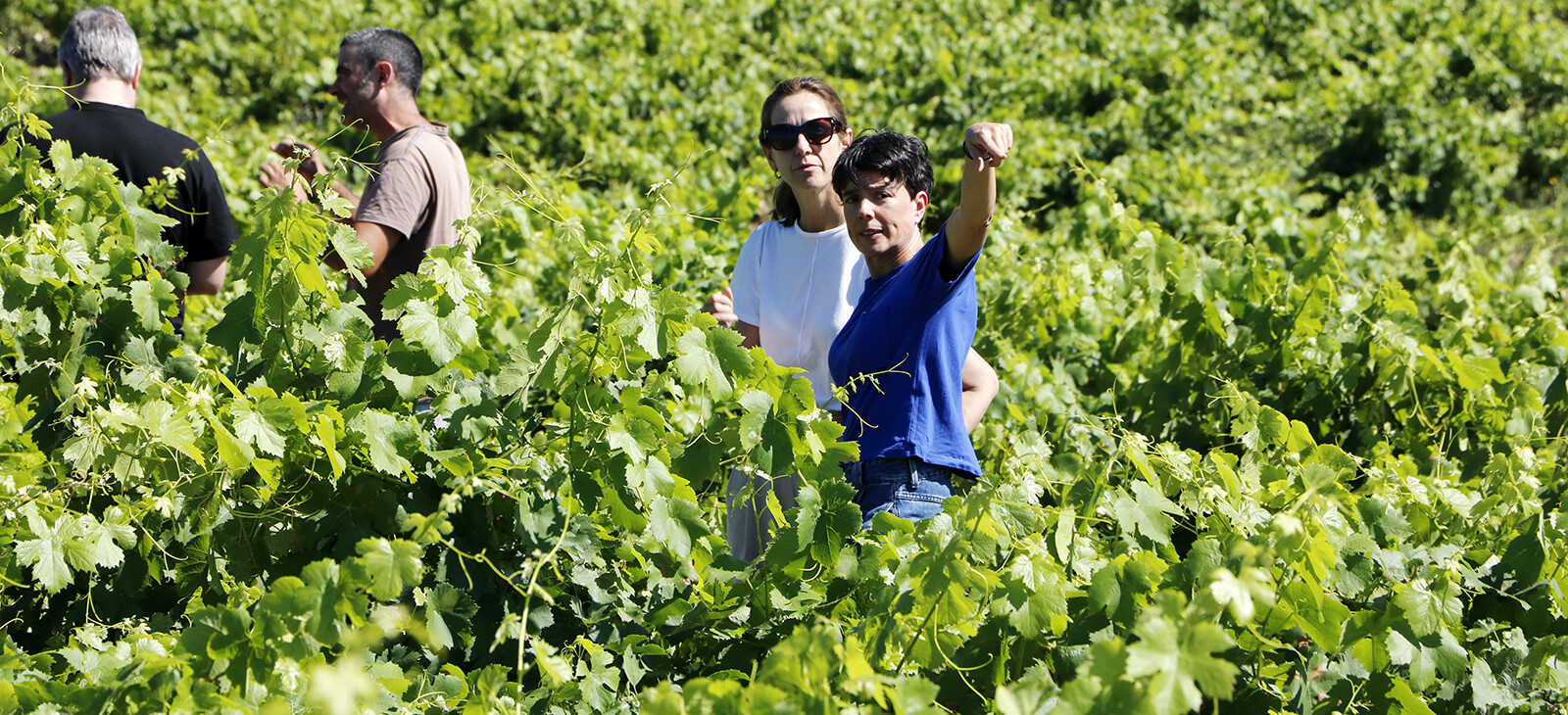 Ángel de Viñas. González Byass. Al pie del abismo. Vino Arribes del Duero. 