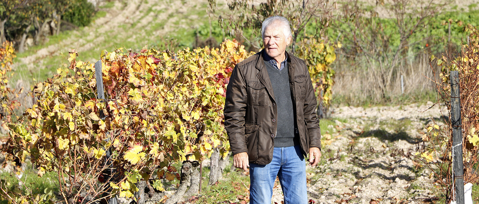 Angel de Viñas. Oímbra. Monterrei. Proyecto González Byass