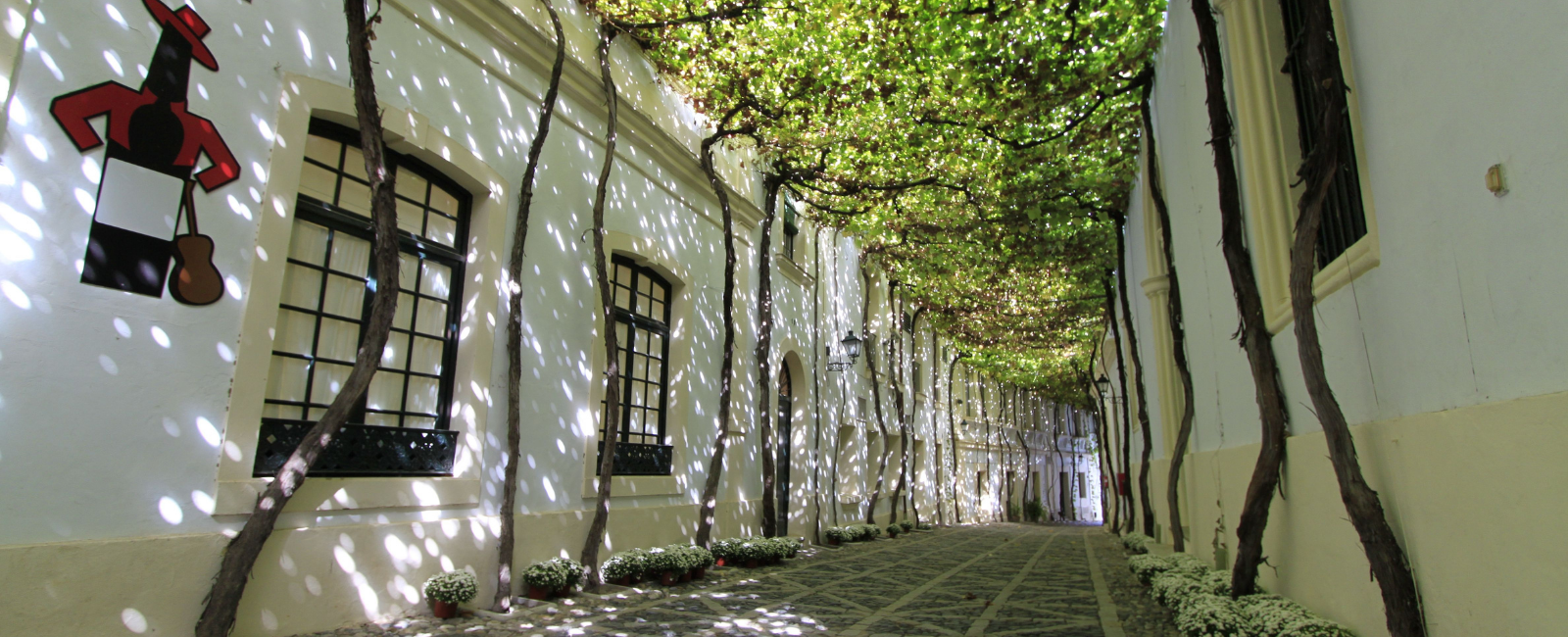 Tio Pepe Jerez Street