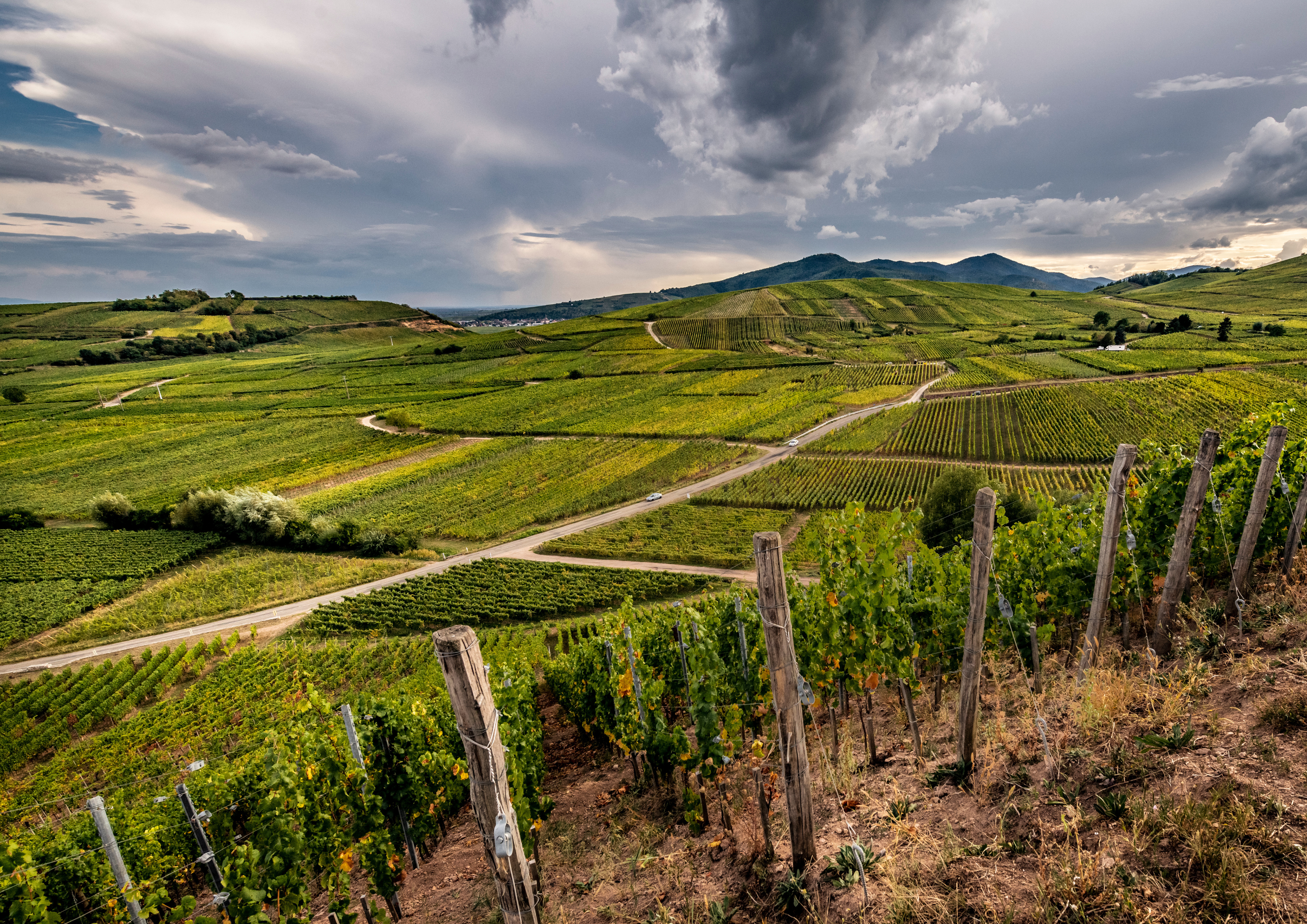 Domaine Zind-Humbrect hills
