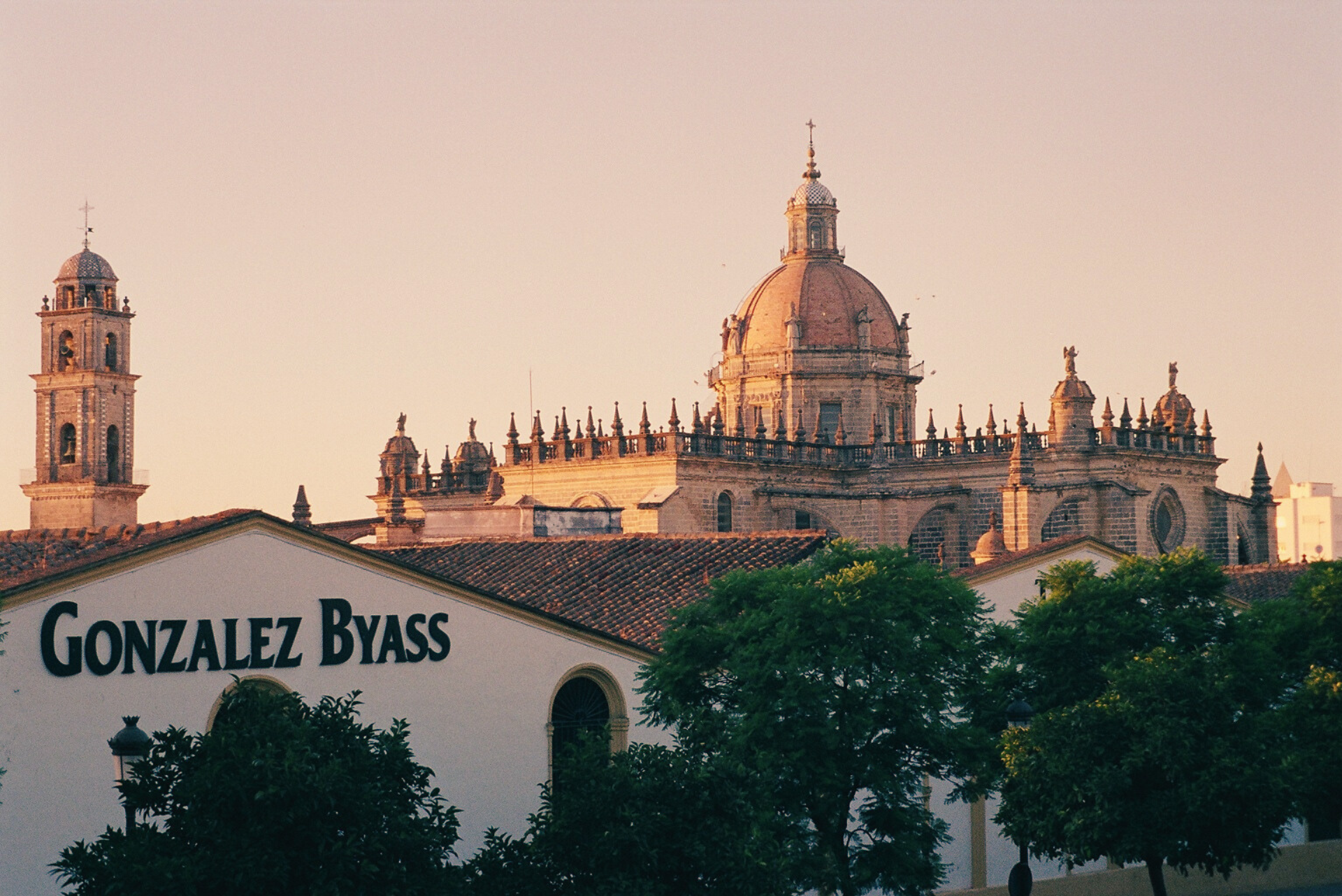 gonzalez byass uk job vacancy