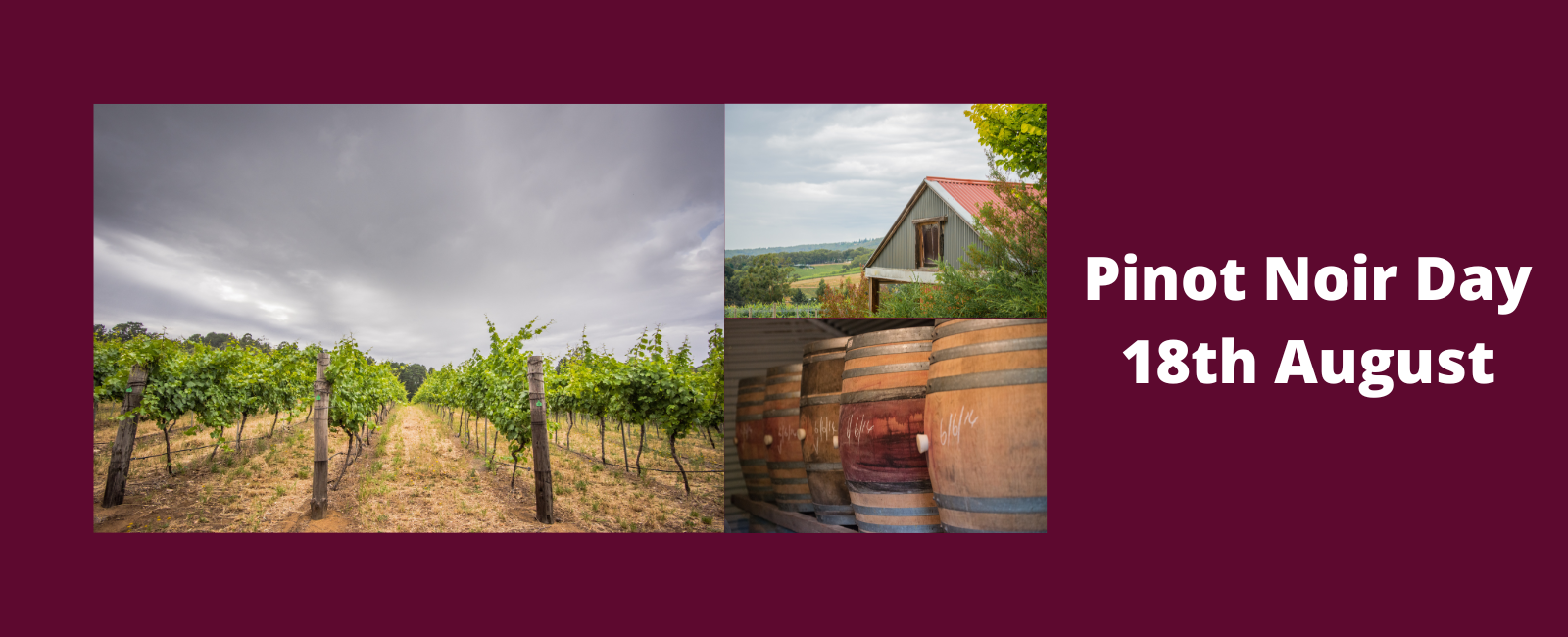 Pinot Noir Day 