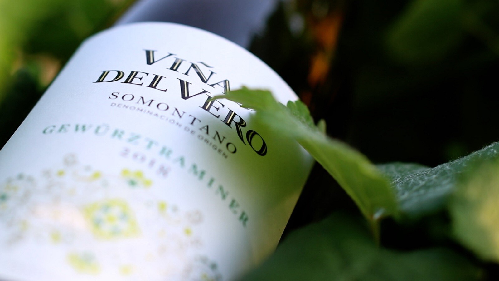 Viñas del Vero Gewürtraminer, vino blanco Somontano