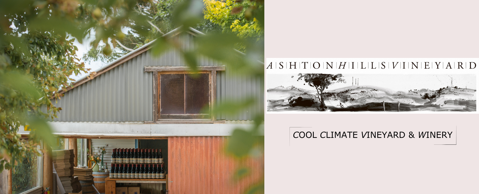 Ashton Hills winery