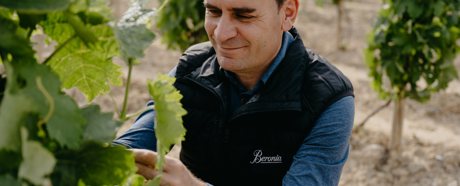 Alejandro beronia
