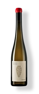 domane-wachau-riesling-amphora