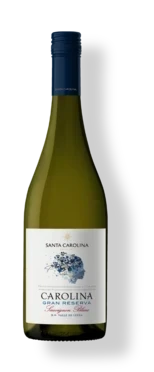 gonzalez-byass-usa-santa-carolina-gran-reserva-sauvignon-blanc