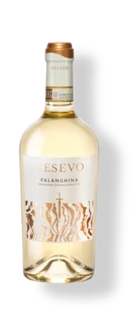 gonzalez-byass-usa-vesevo-beneventano-falanghina