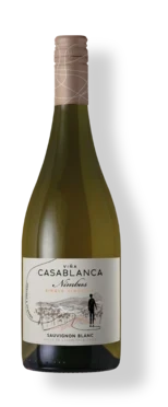  Nombre gonzalez-byass-usa-vinacasablanca-nimbus-sauvignon-blanc