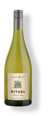 gonzalez-byass-usa-ritual-sauvignon-blanc