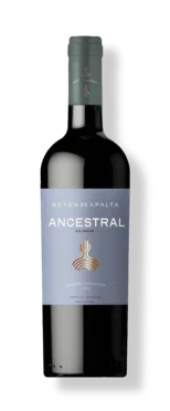 González Byass Neyen de Apalta Ancestral