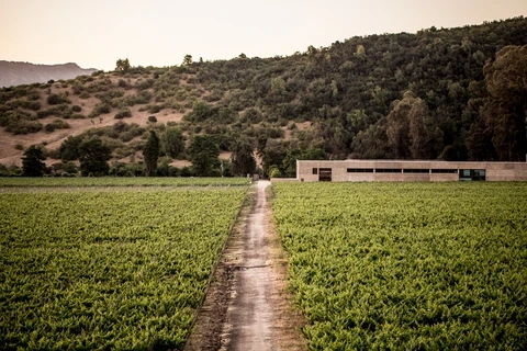 Bodega Veramonte