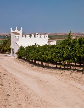 Bodega Finca Moncloa