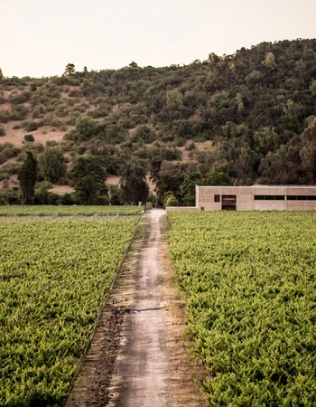 Bodega Veramonte
