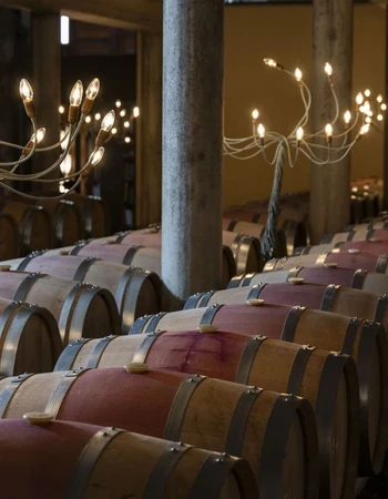 Bodega Blecua interior