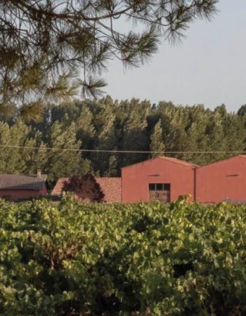 Bodega Dominio Fournier