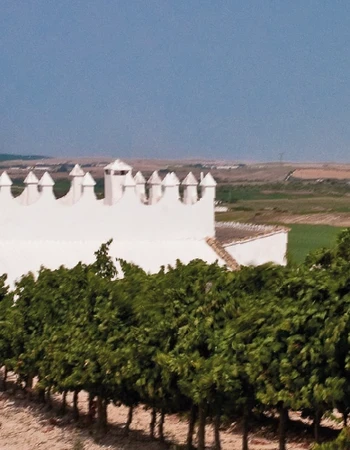 Bodega Finca Moncloa