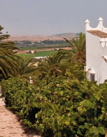 Bodega Finca Moncloa