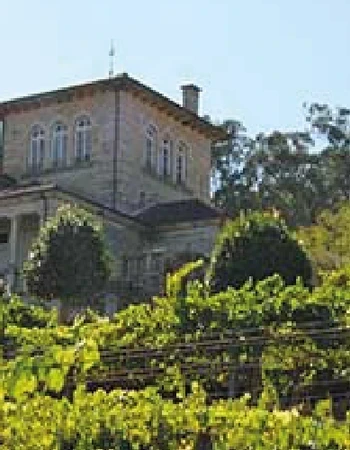 Imagen Bodega Pazos de Lusco