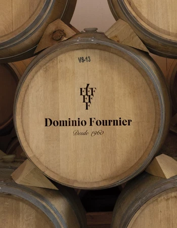 Bodega Dominio Fournier