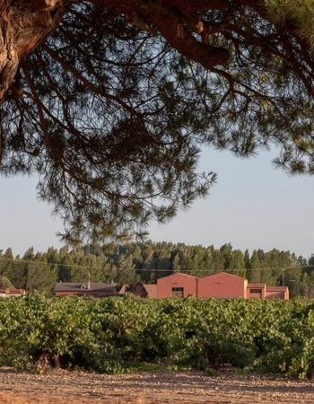 Bodega Dominio Fournier