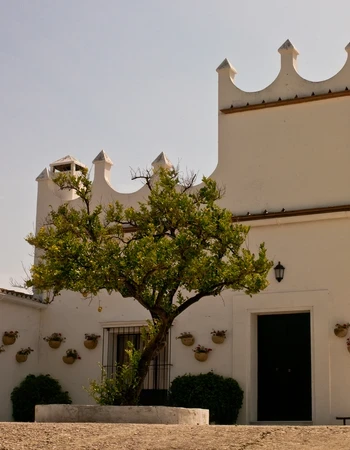 Bodega Finca Moncloa