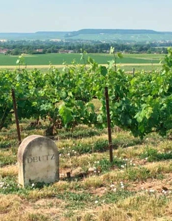 champagne-deutz