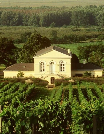 bodega disznoko tokaj
