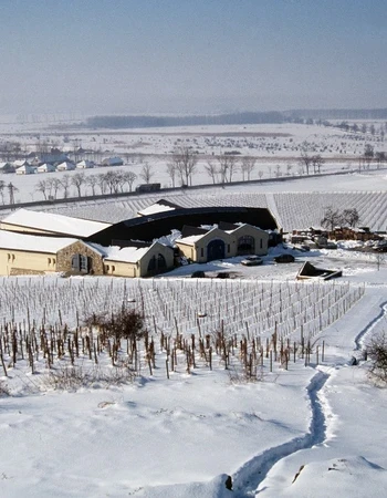 bodega disznoko tokaj
