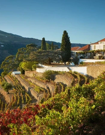 quinta do noval