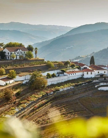 quinta do noval