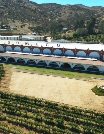 CASA PEDRO DOMECQ