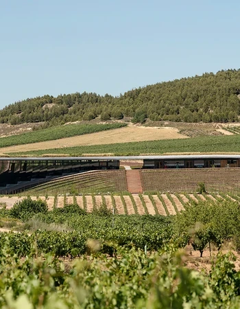 BERONIA