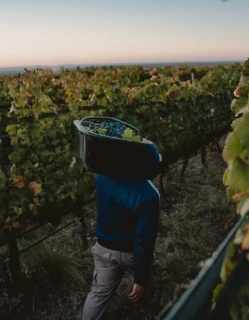 Bodega Finca El Origen