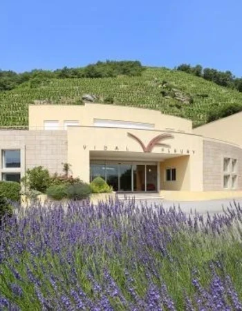 bodega vidal fleury