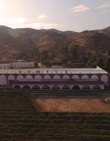 CASA PEDRO DOMECQ