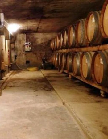 Chateau Saint Roch