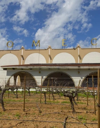 CASA PEDRO DOMECQ