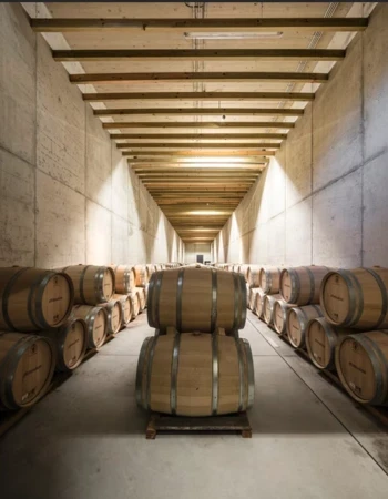 bodega alves de sousa