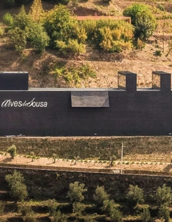 bodega alves de sousa